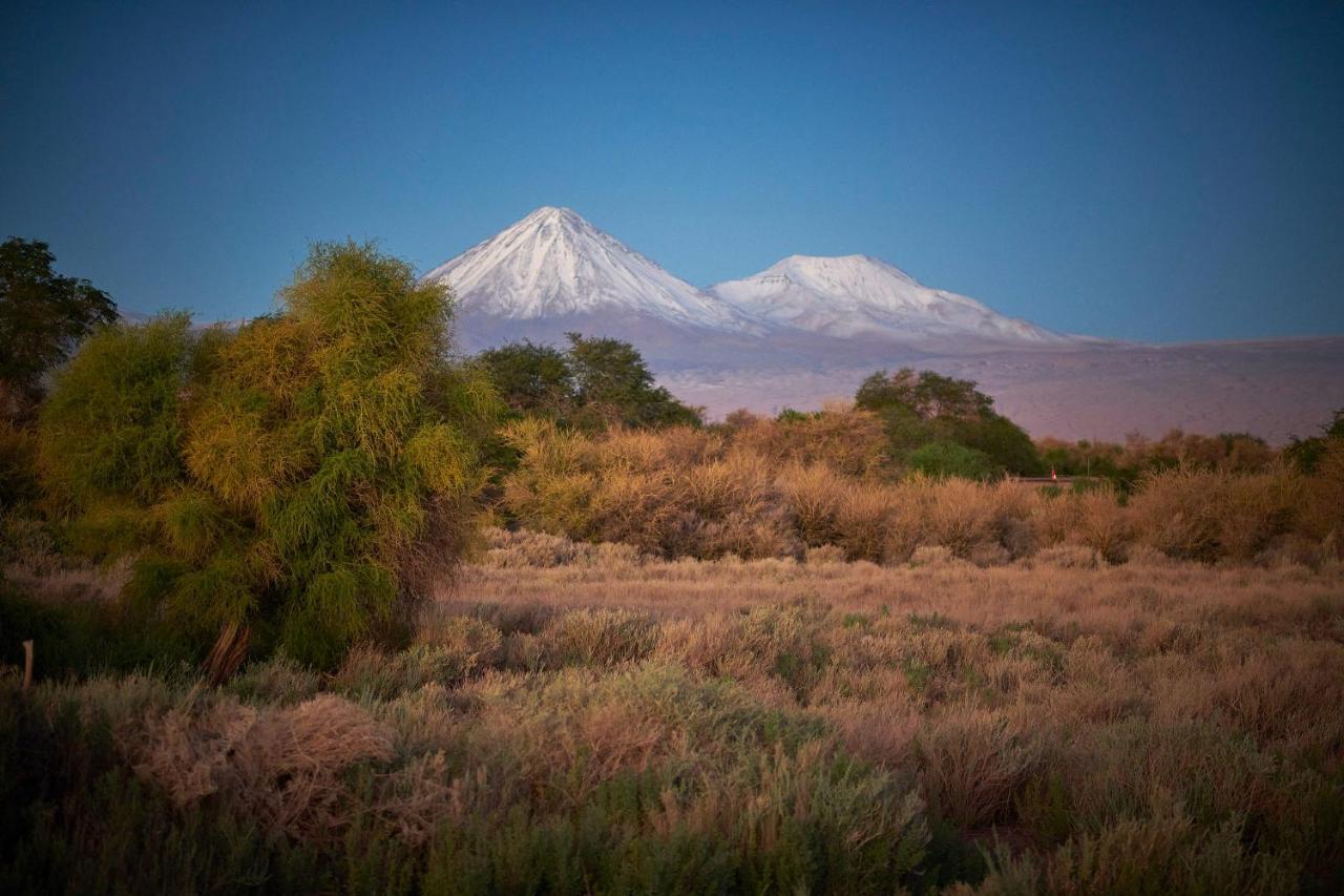 Casa Chincol Guest House San Pedro de Atacama Ngoại thất bức ảnh