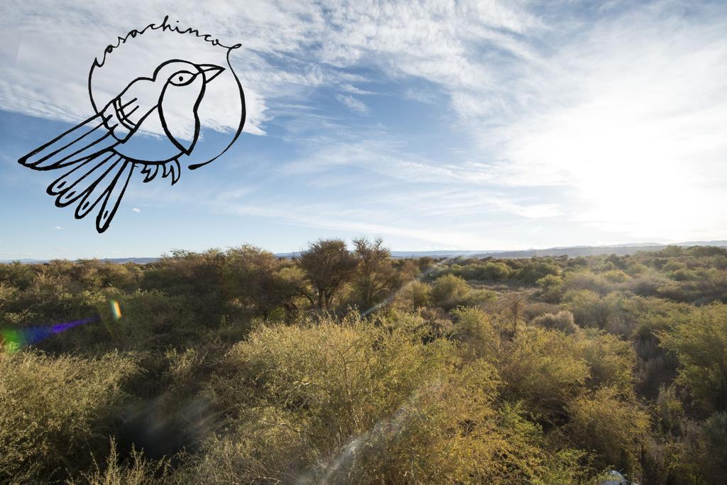 Casa Chincol Guest House San Pedro de Atacama Ngoại thất bức ảnh
